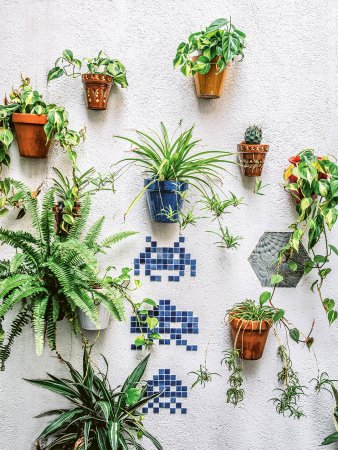 stone wall covered with mounted planters