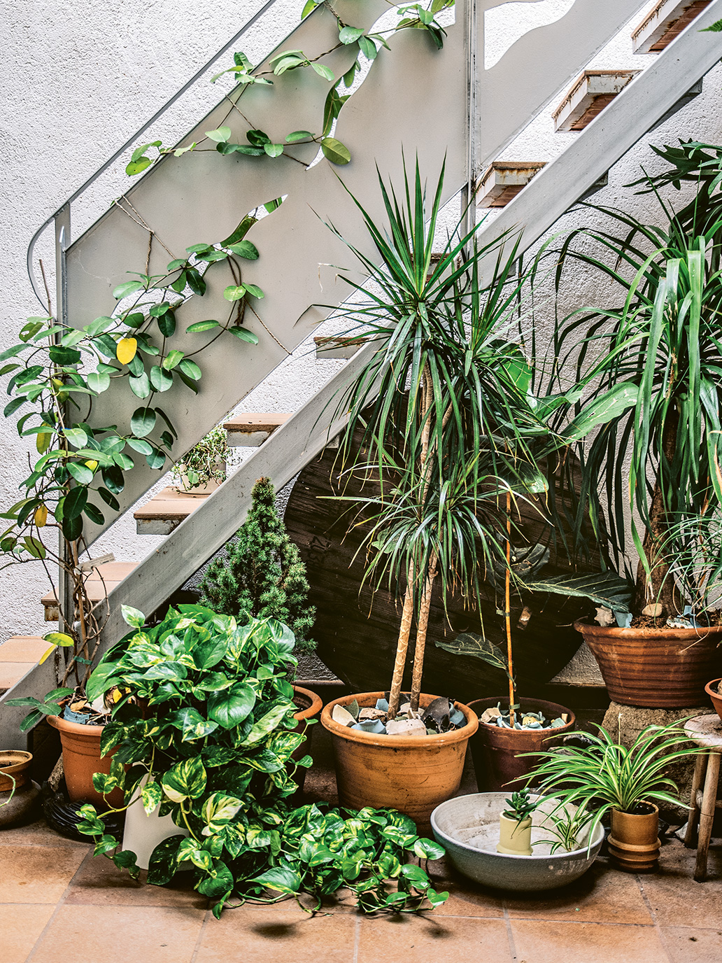 sunny atrium with potted plants