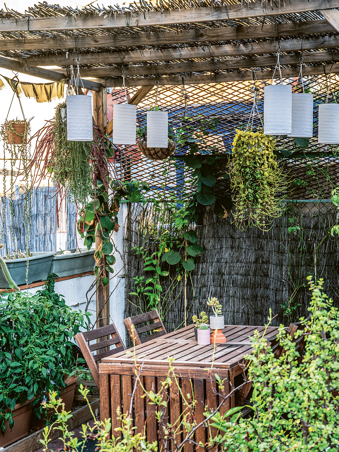 terrace with wood dining table and plants