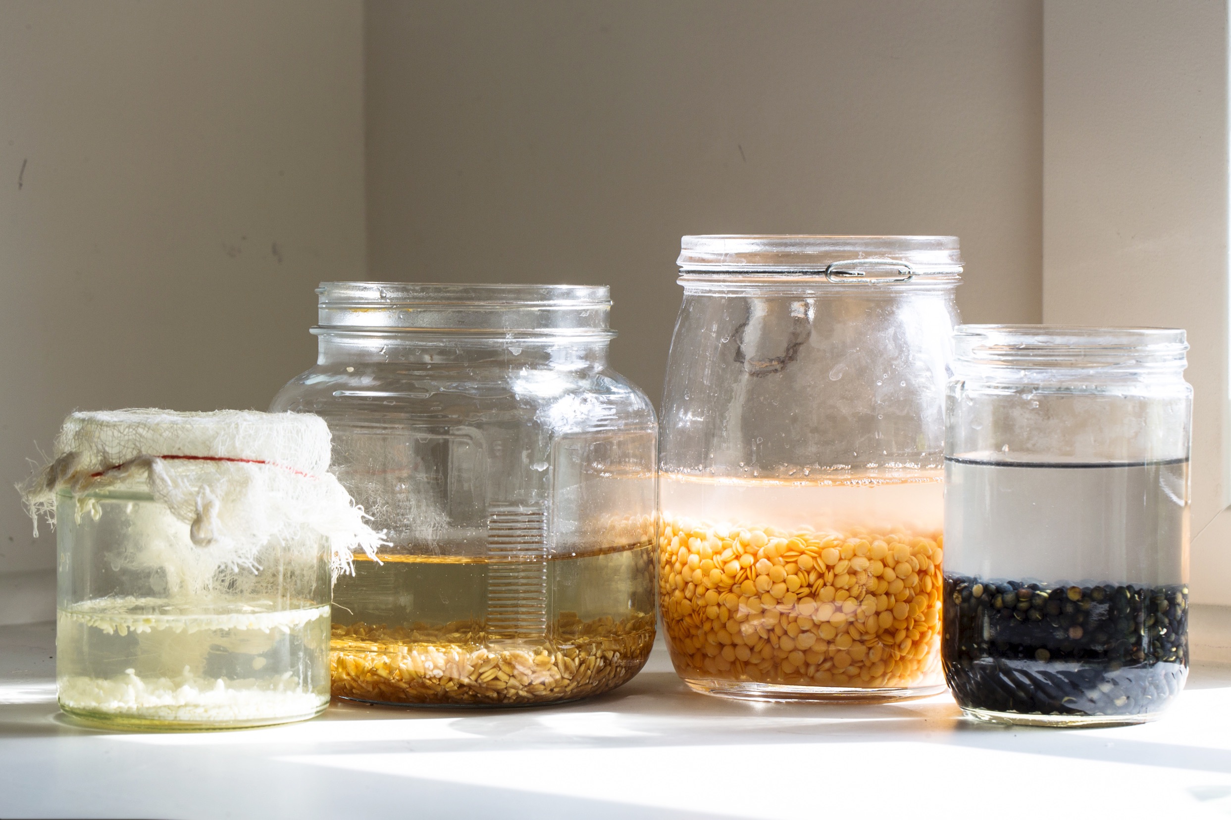 Assorted sprouting beans and lentils