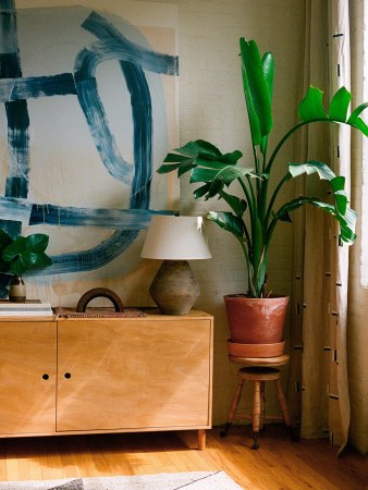 Corner of room with a plant