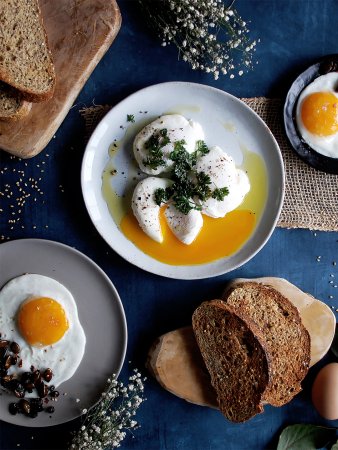 poached eggs