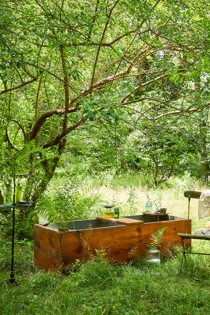 tub in a forest