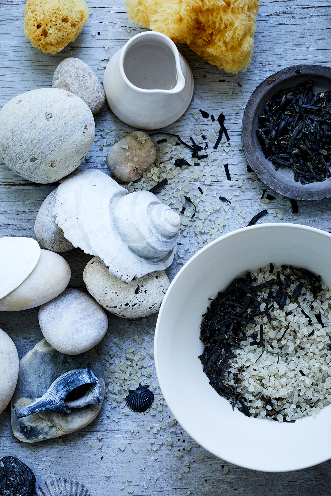 shells areound a bowl of seaweed