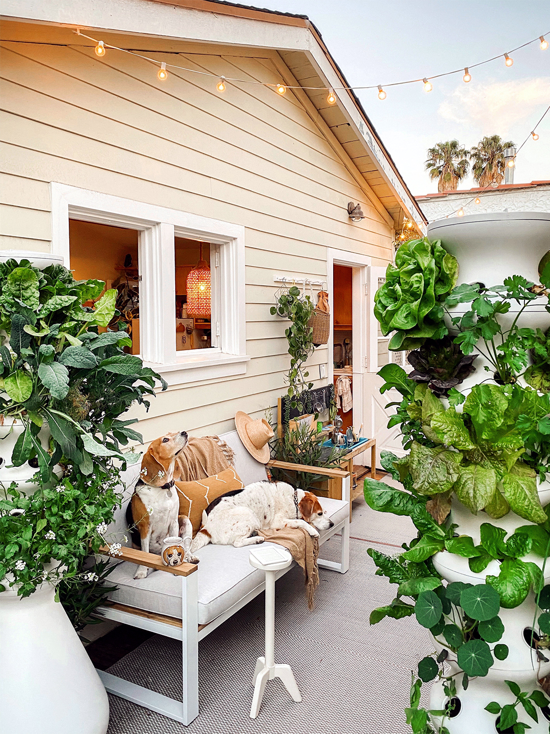 patio with white sofa and plants