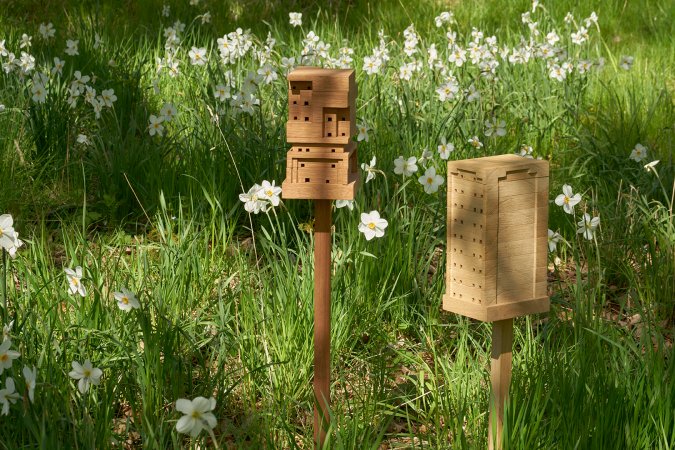 wood bee stand in forest