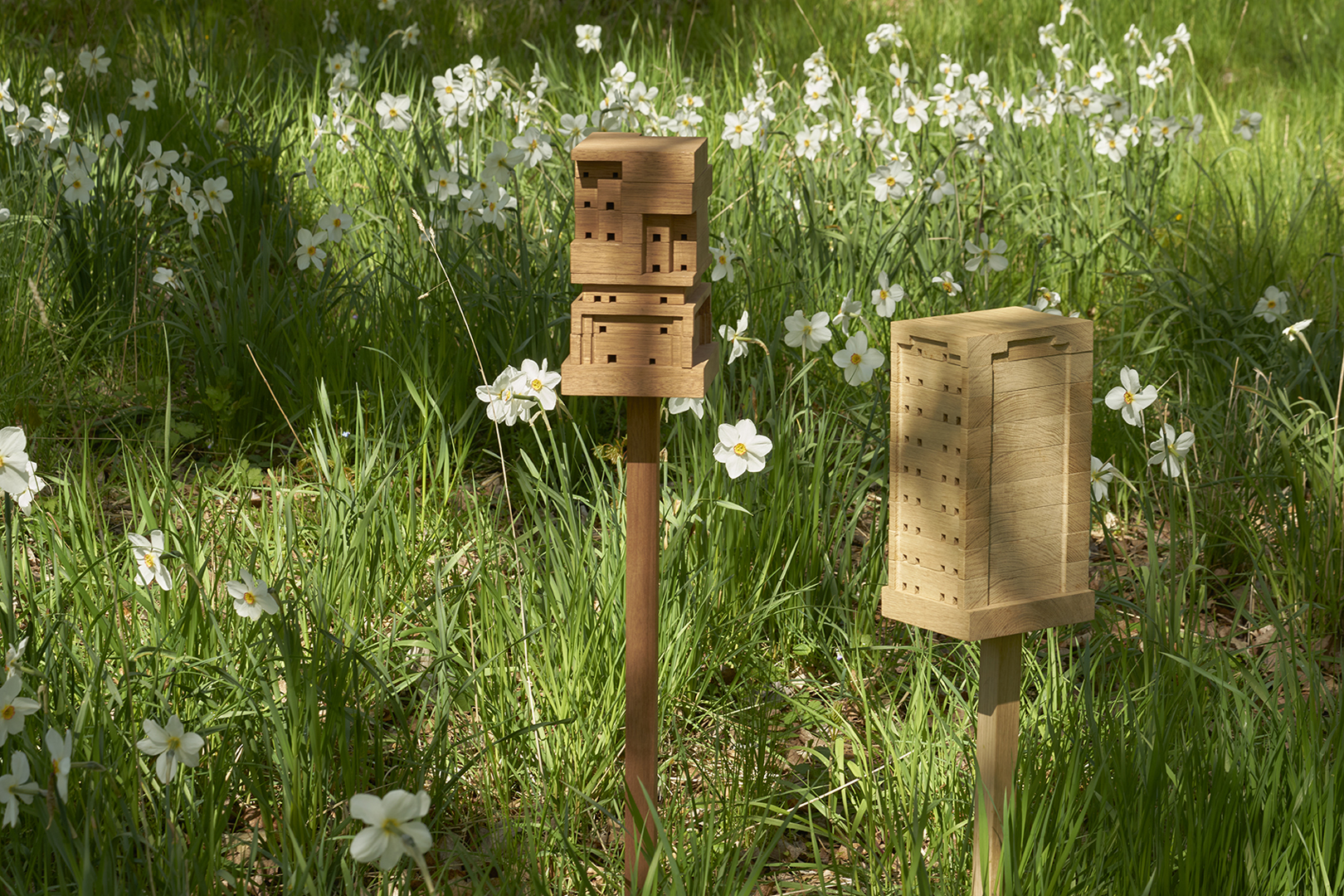 wood bee stand in forest