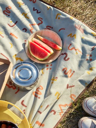 backyard picnic watermelon