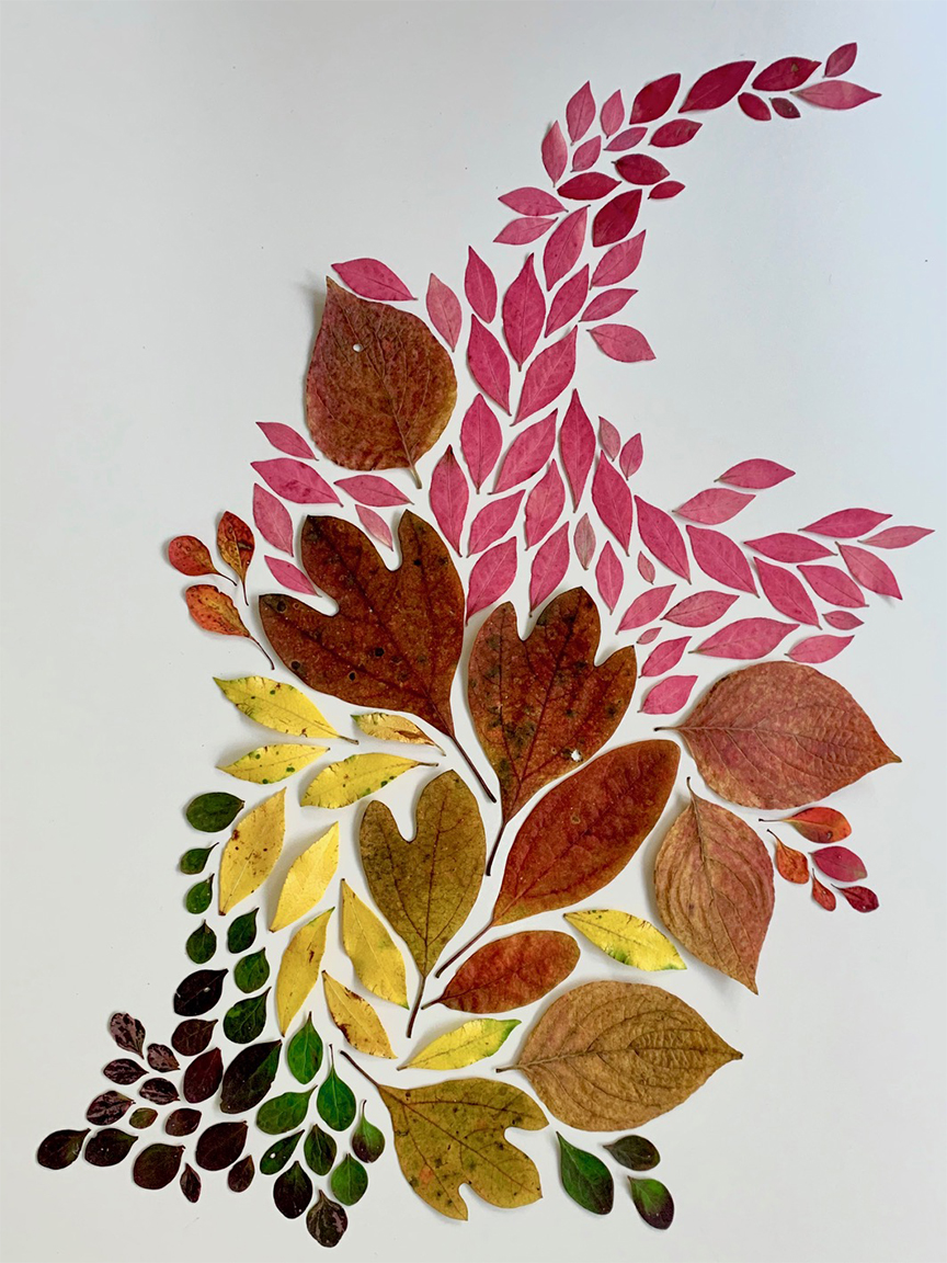 Rainbow leaf arrangement