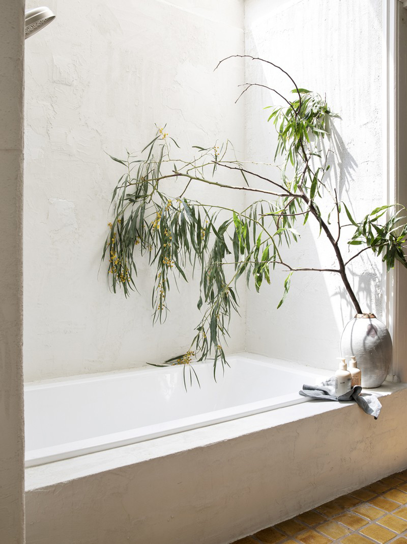 large branch over a bath tub