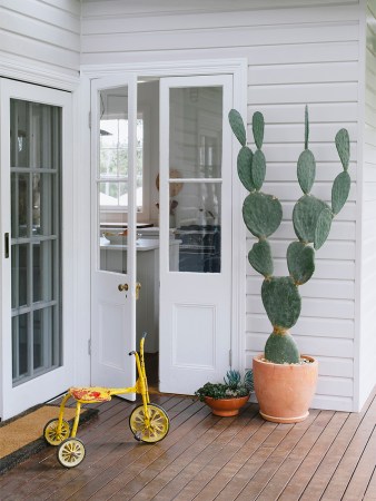 front porch with a kids bike and cactus in front of door