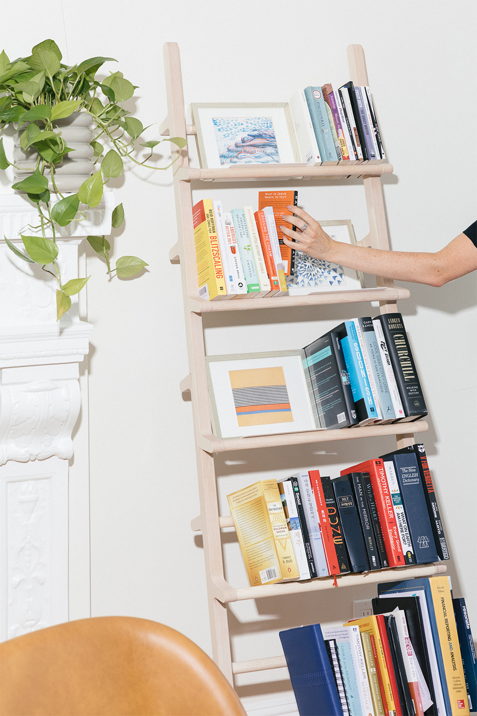 Bookcase with plant