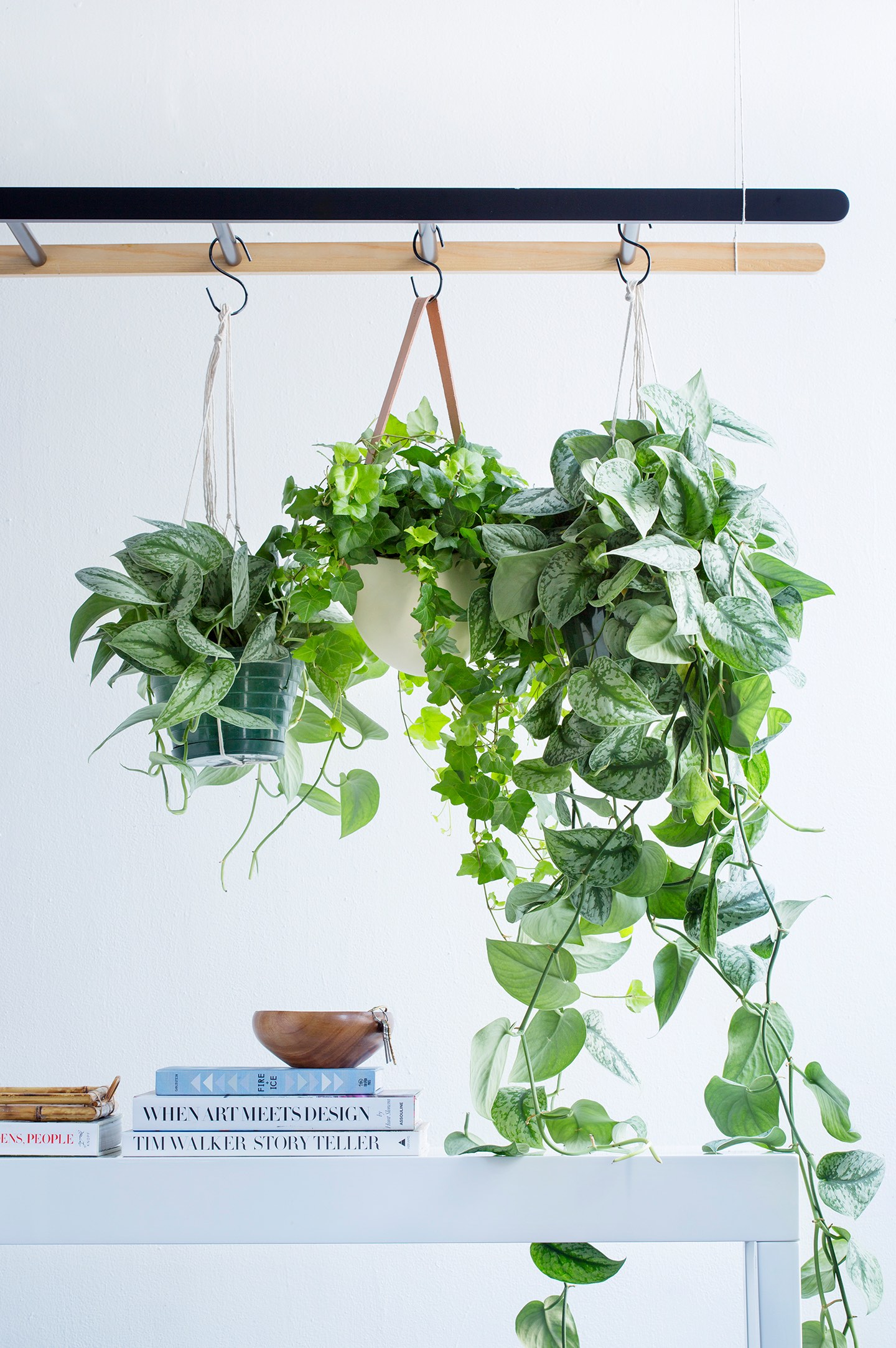 Hanging plants