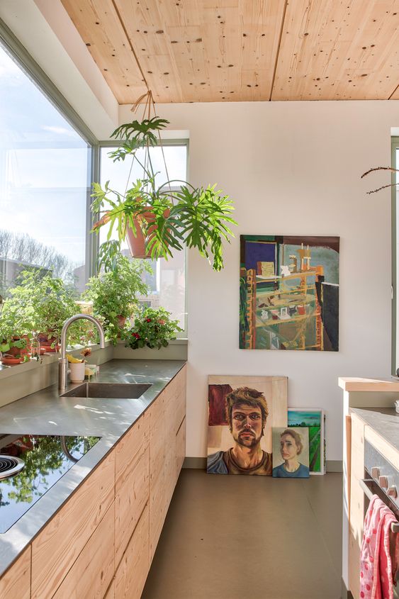 sunny wood kitchen with hanging plants