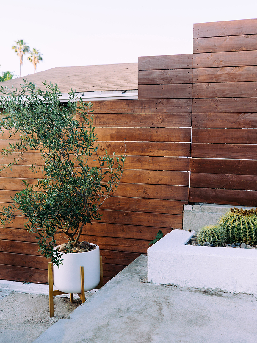 dark wood garden fence