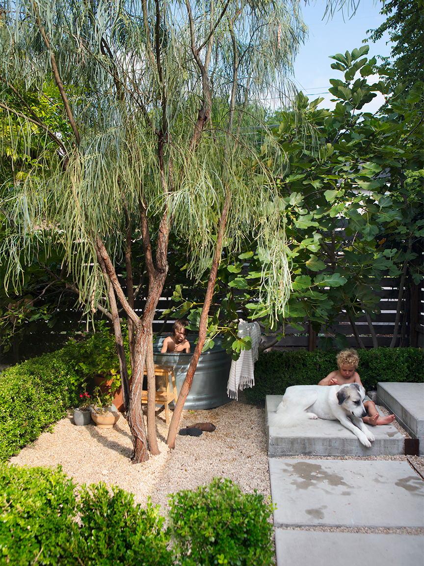 pool underneath a tree