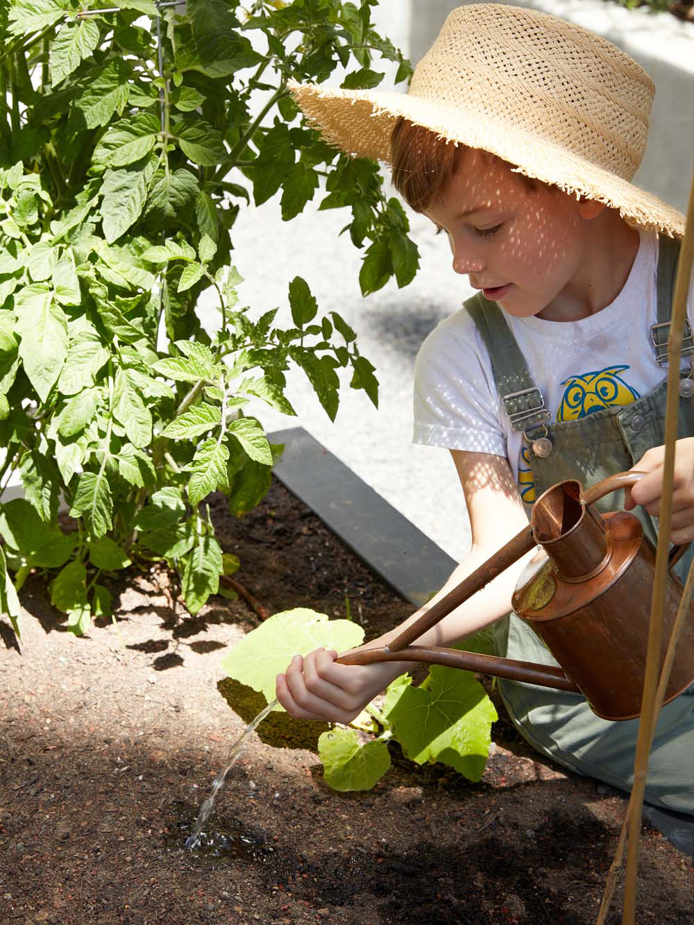 Erin Hiemstra's son watering plants