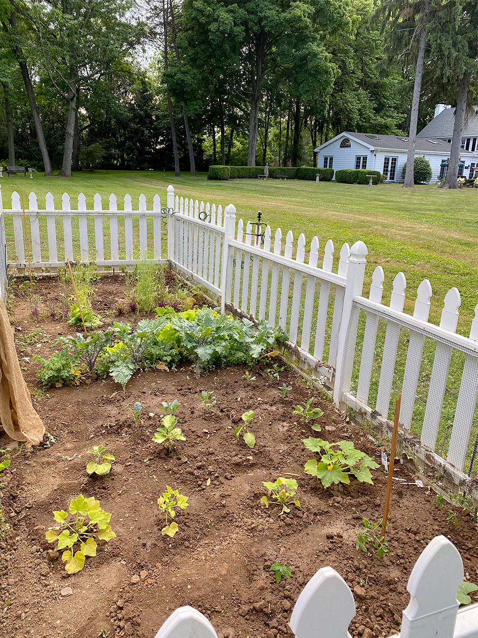 Garden plot