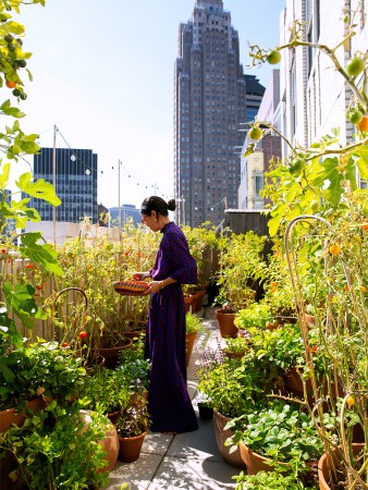 woman in balcony garden