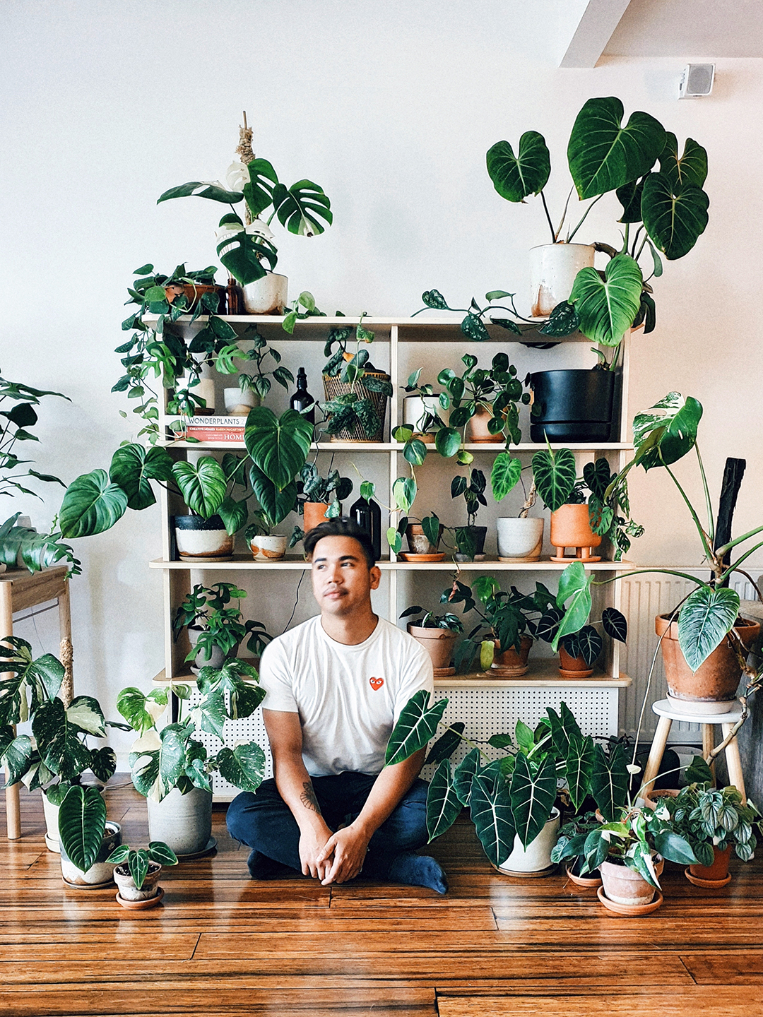 man sitting in room surrounded by plants