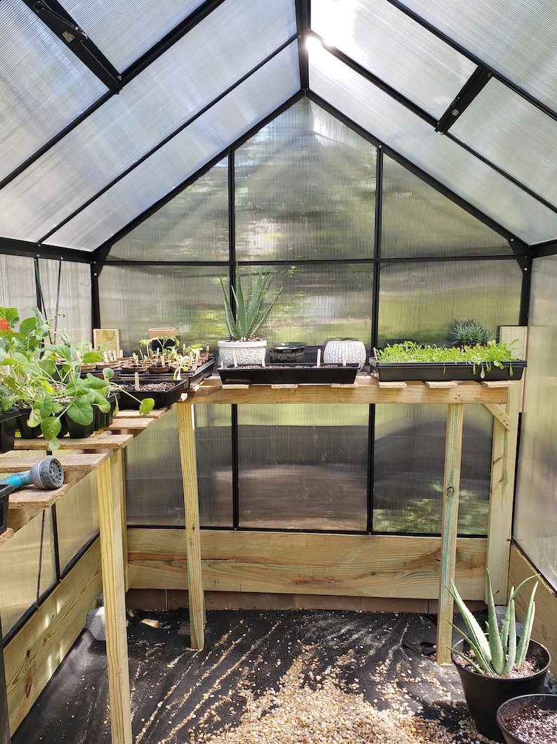 inside of greenhouse