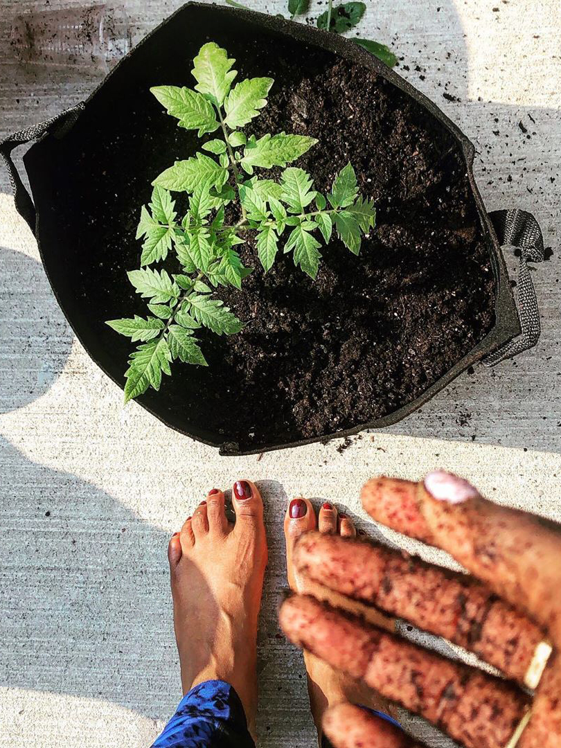 Dominique gardening