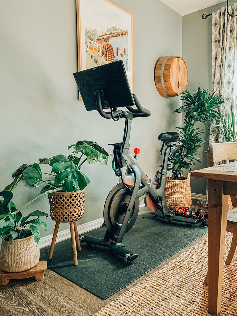 Stationary bike surrounded by plants