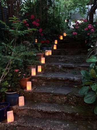 paper lanterns lining steps outside