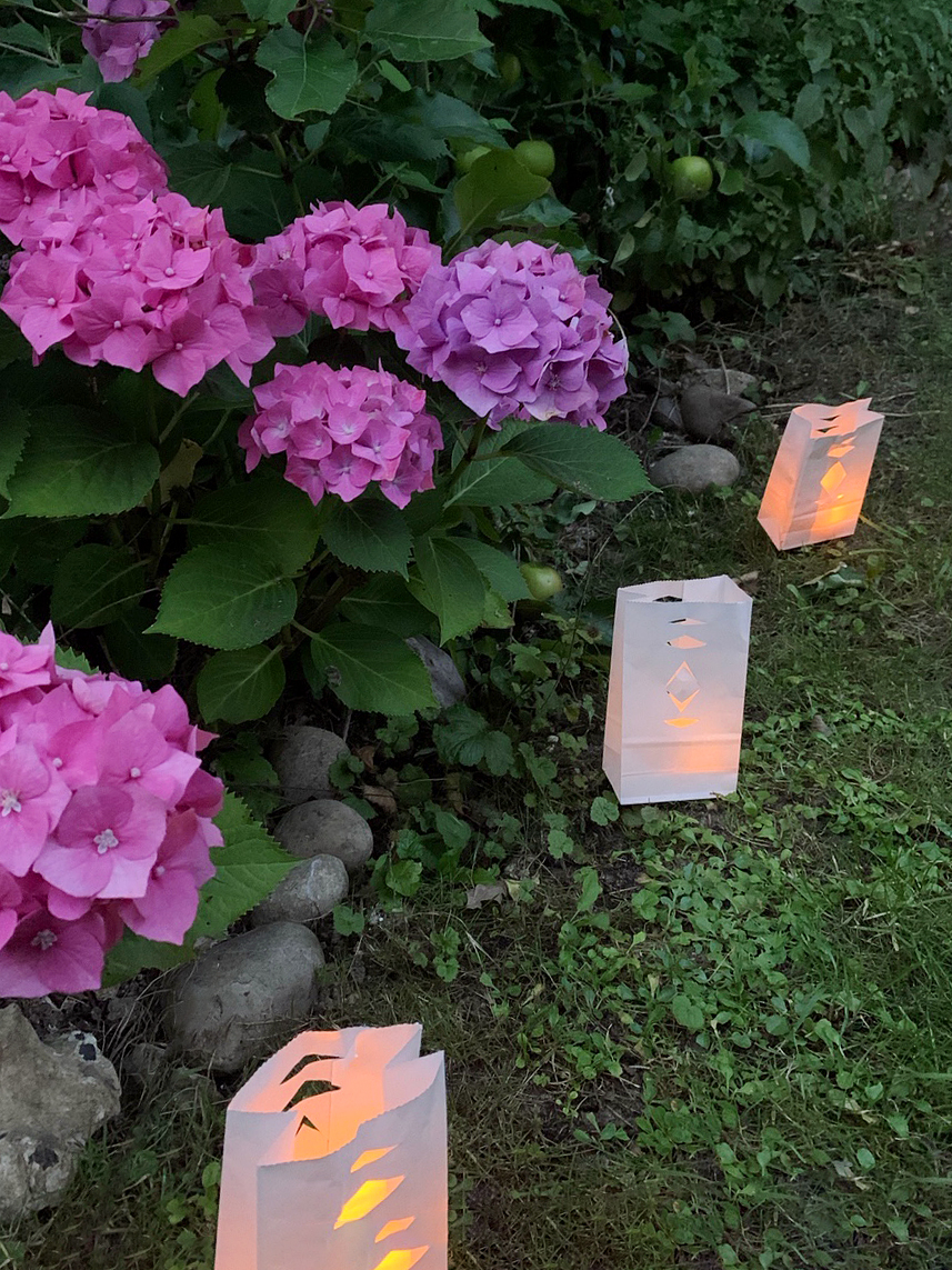 paper lanterns around purple flowers