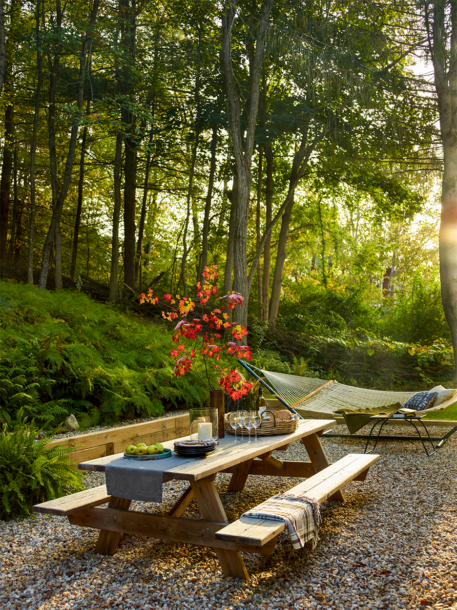 Backyard With Picnic Table and Hammock