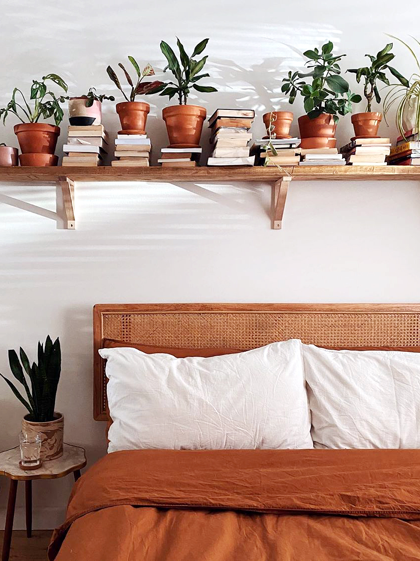 Plant shelf above bed