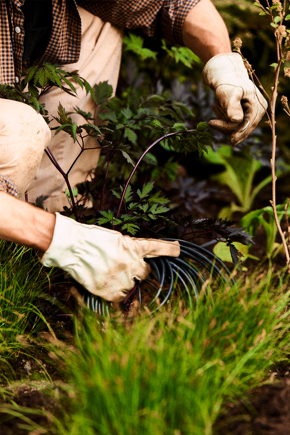 hands setting up drip irrigation system in garden