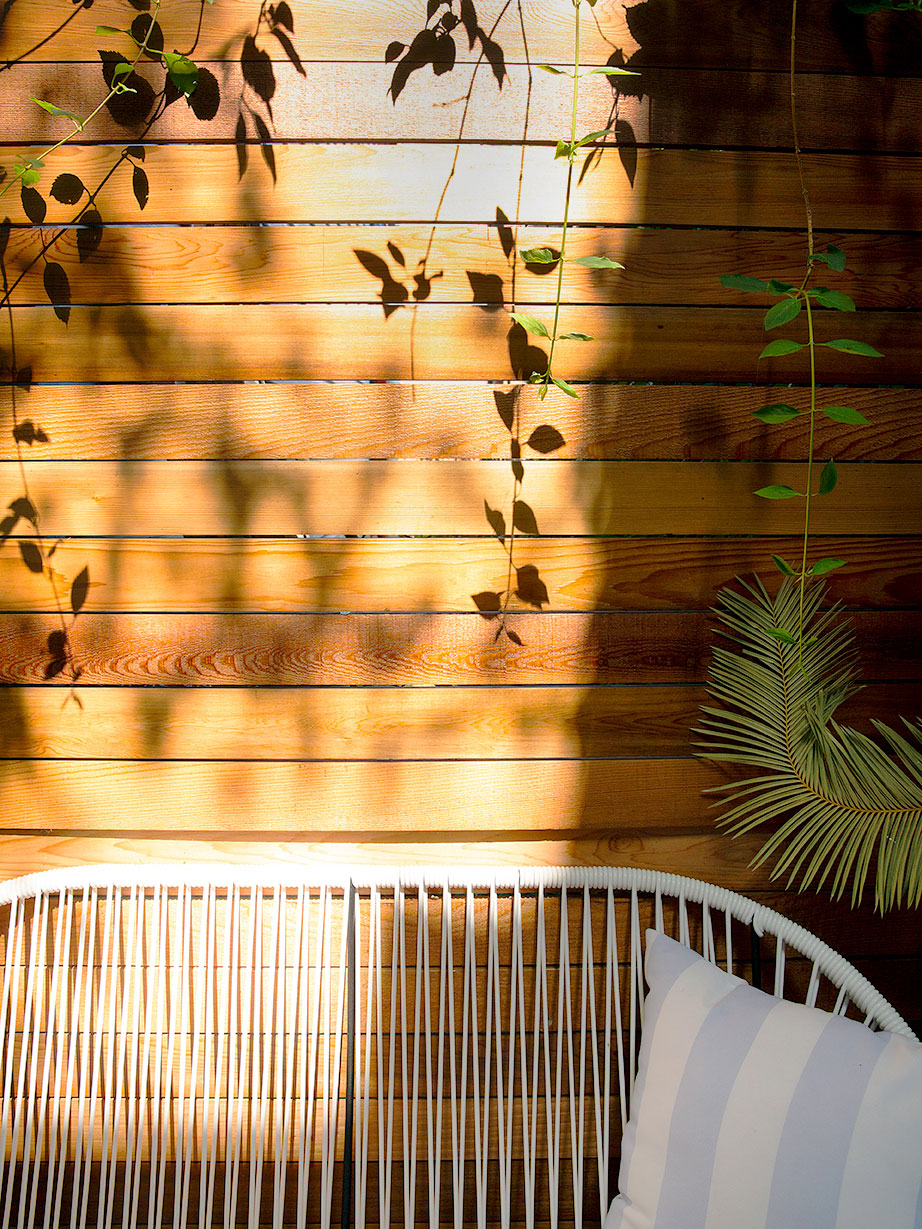 light hitting a cedar fence