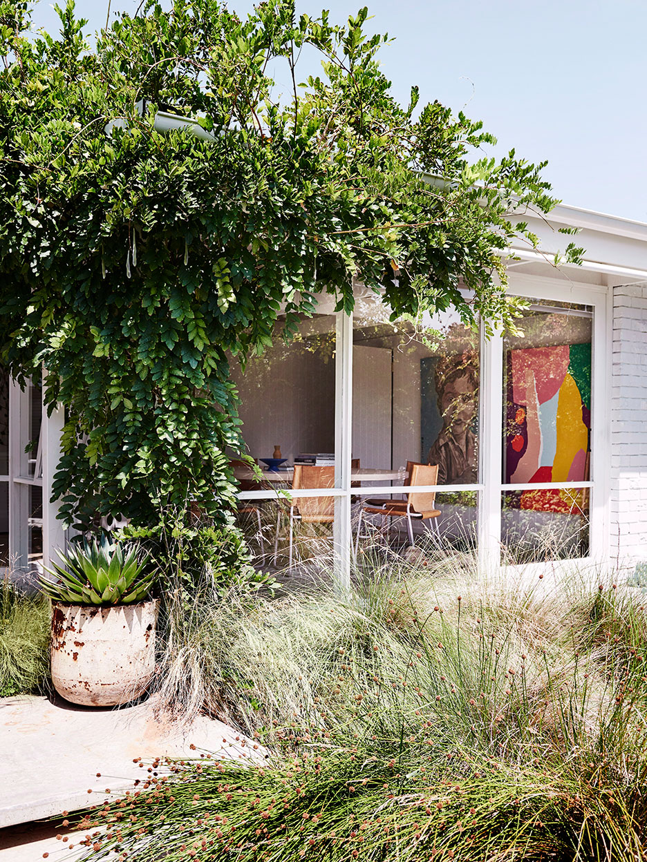 Backyard looking into a colorful living room