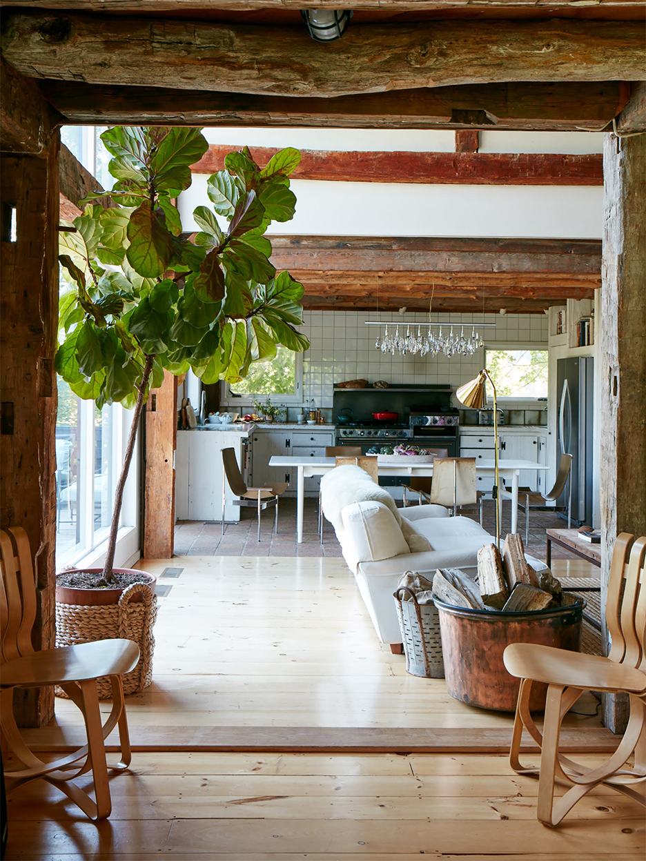 tree in modern dining room