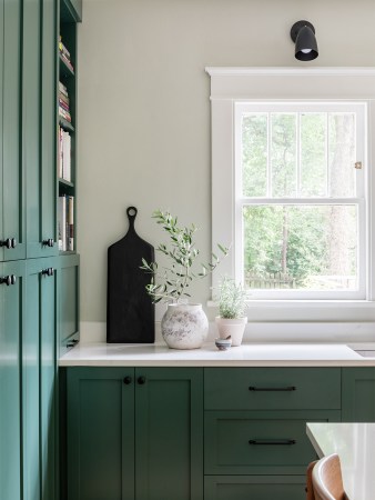 dark green cabinets