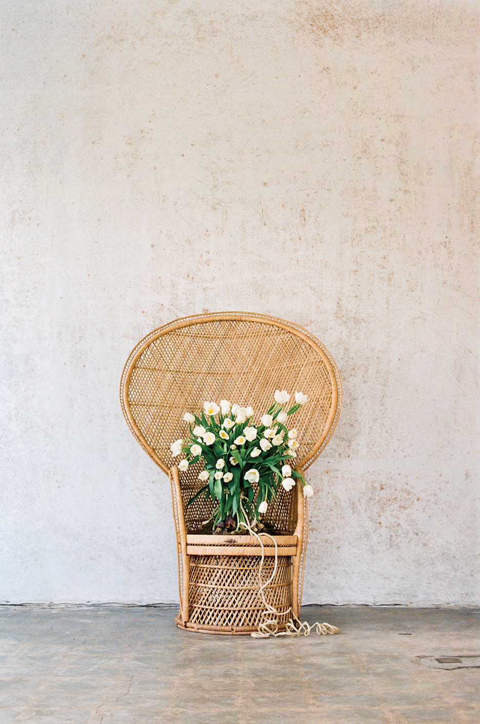 Flowers on a chair.