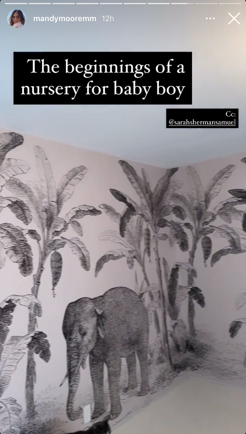 Screen shot of elephant wallpaper in nursery