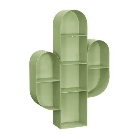  cactus shelf