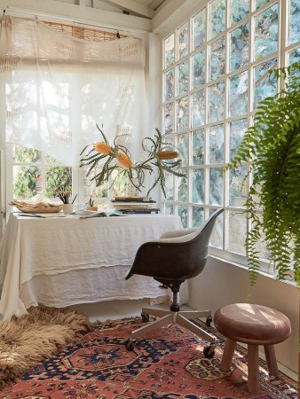 an office surrounded with plants