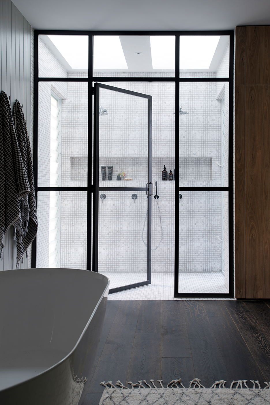 steel glass shower door