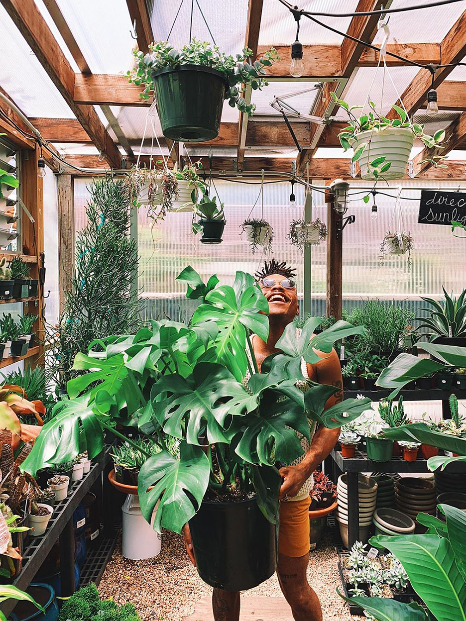 Man holding a plant and styling