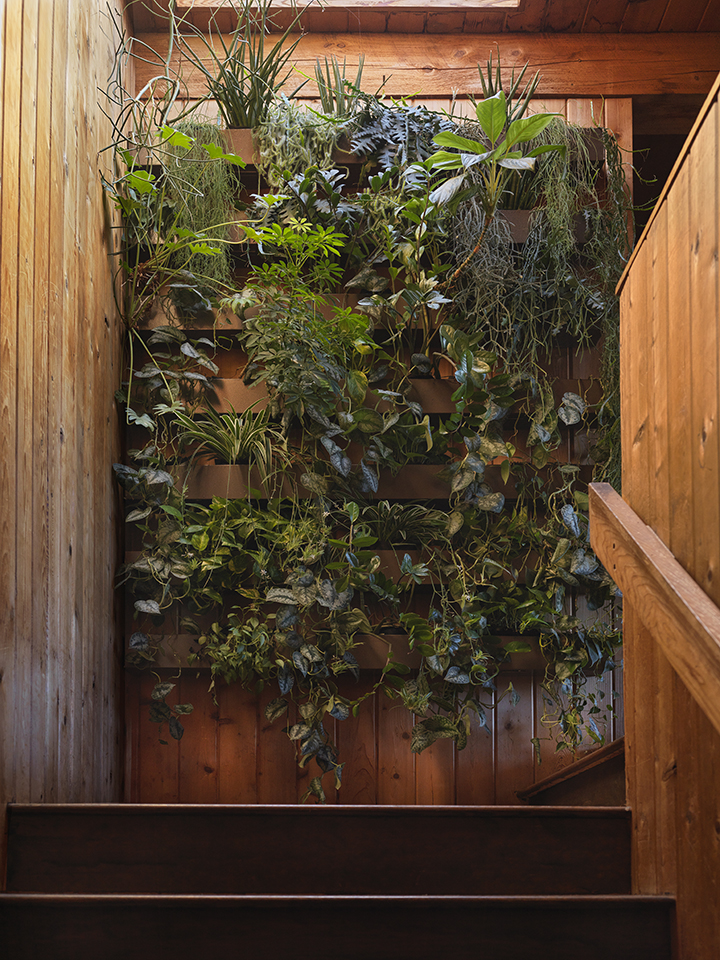 a stairwell with a plant wall