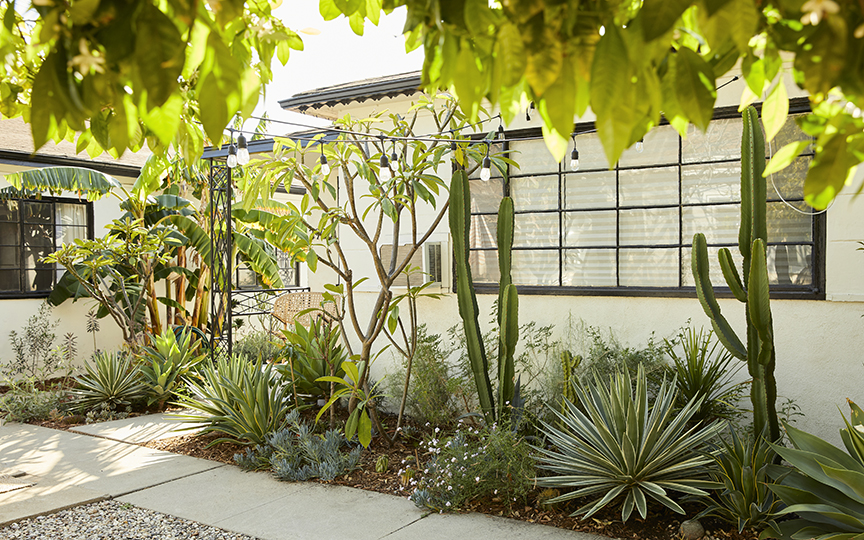 Garden with cacti against a house in Los Angeles