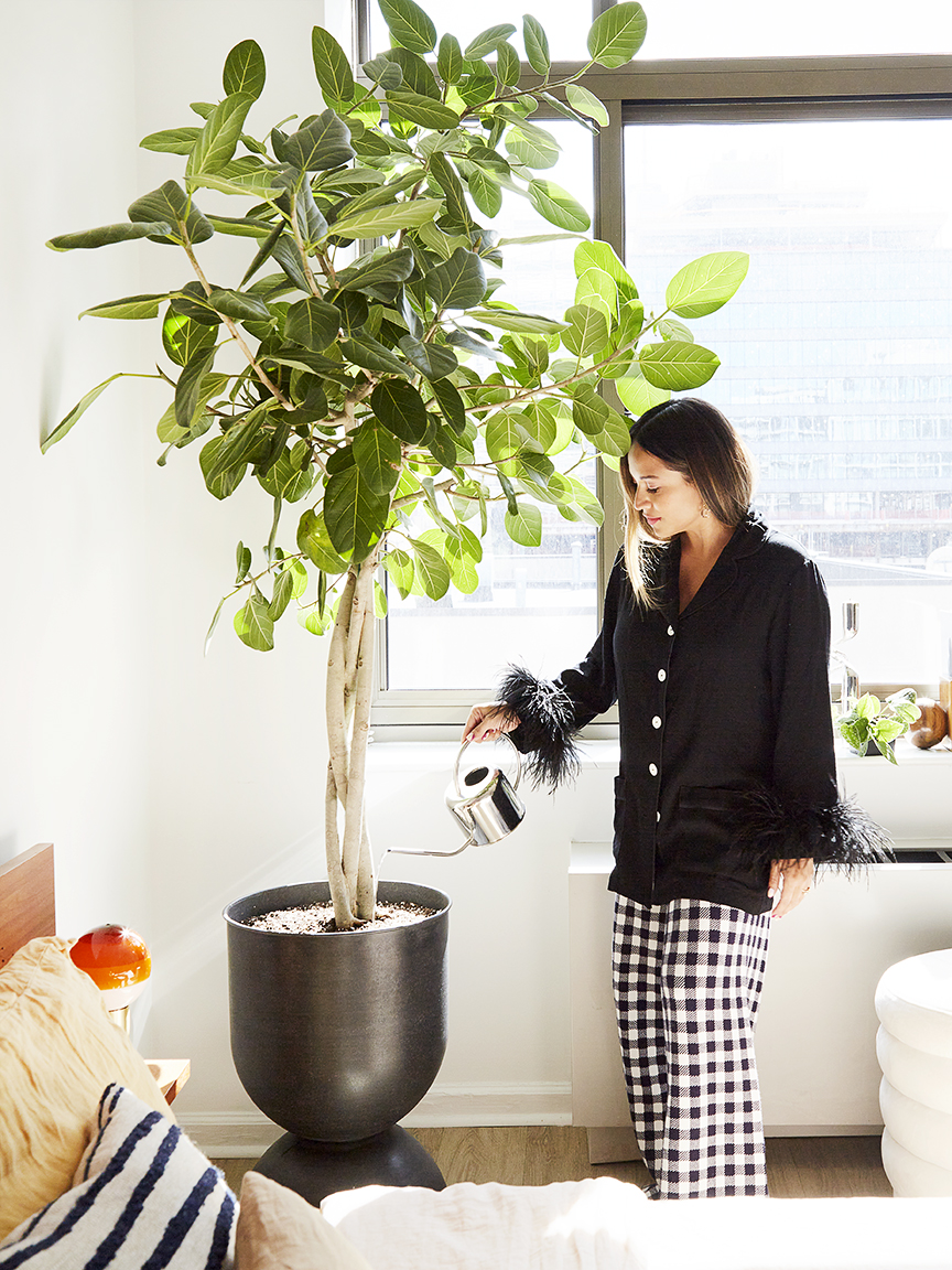 woman watering plant