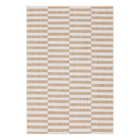  Striped Outdoor Rug