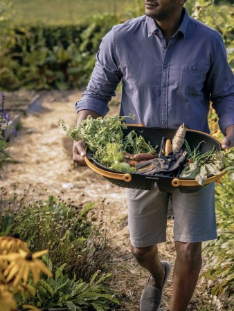 Growing Tomatoes, Greens, and Herbs Is Easier Than You Think