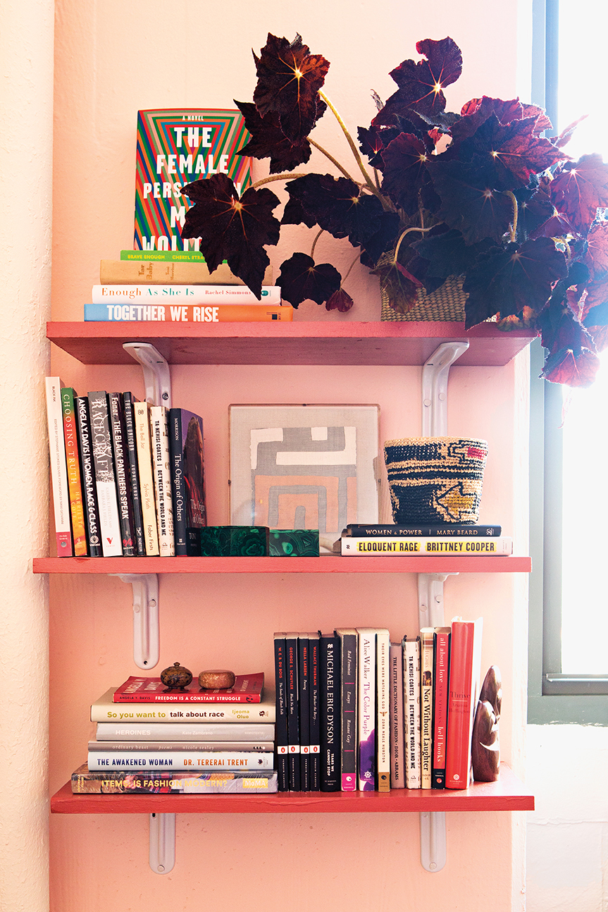 pink bookshelf with plant