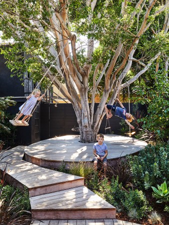 kids swinging around tree