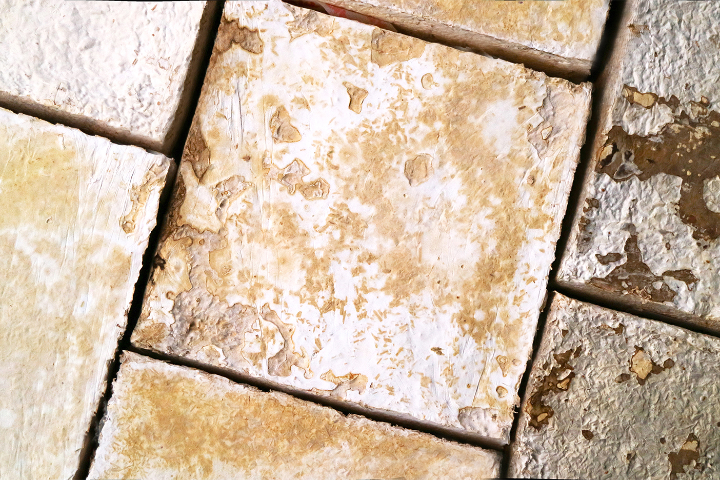 close up of mushroom brick